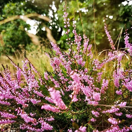 Σπίτι διακοπών 84174-knebel-fuglsovig-301 Knebel